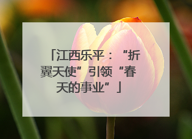 江西乐平：“折翼天使”引领“春天的事业”
