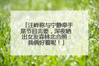 汪峰称与宁静牵手是节目需要，深夜晒出女友森林北合照：我俩好着呢！