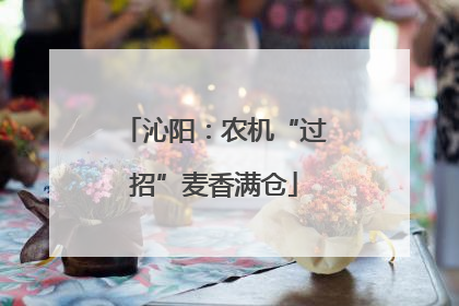 沁阳：农机“过招”麦香满仓
