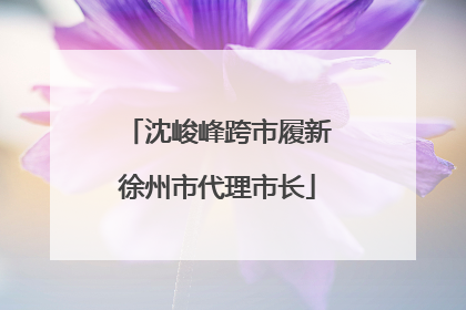 沈峻峰跨市履新徐州市代理市长