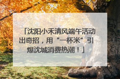 沈阳小禾清风端午活动出奇招，用“一杯米”引爆沈城消费热潮！