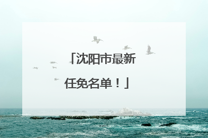 沈阳市最新任免名单！