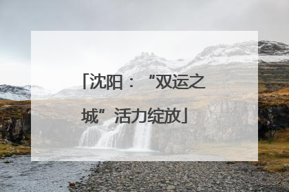 沈阳：“双运之城”活力绽放