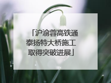 沪渝蓉高铁通泰扬特大桥施工取得突破进展