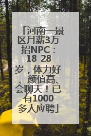 河南一景区月薪3万招NPC：18-28岁，体力好、颜值高、会聊天！已有1000多人应聘