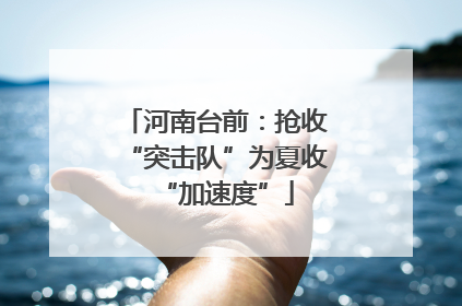 河南台前：抢收“突击队”为夏收“加速度”