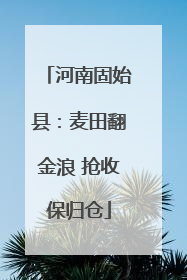 河南固始县：麦田翻金浪 抢收保归仓
