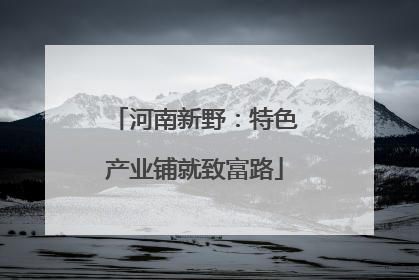 河南新野：特色产业铺就致富路