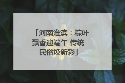 河南淮滨：粽叶飘香迎端午 传统民俗焕新彩