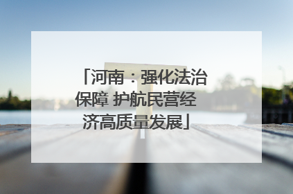 河南：强化法治保障 护航民营经济高质量发展