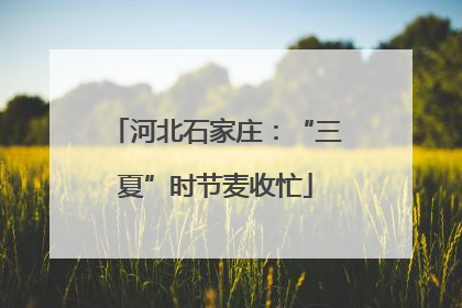河北石家庄：“三夏”时节麦收忙