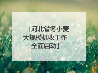 河北省冬小麦大规模机收工作全面启动