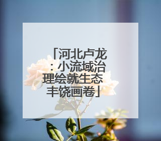 河北卢龙：小流域治理绘就生态丰饶画卷