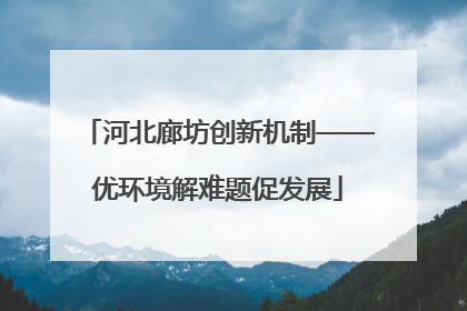 河北廊坊创新机制——优环境解难题促发展