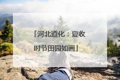 河北遵化：夏收时节田园如画