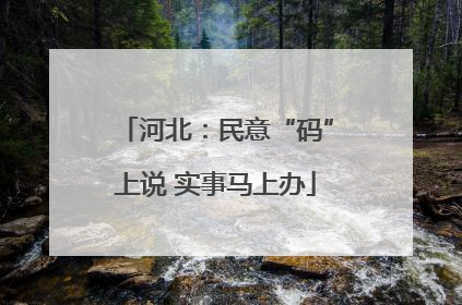 河北：民意“码”上说 实事马上办
