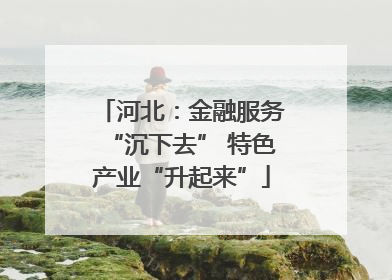 河北：金融服务“沉下去” 特色产业“升起来”