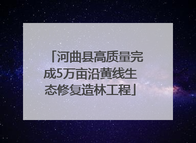 河曲县高质量完成5万亩沿黄线生态修复造林工程