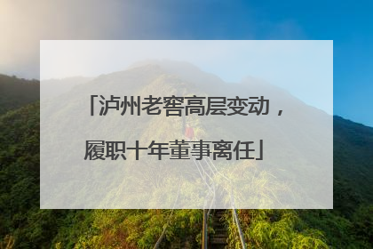 泸州老窖高层变动，履职十年董事离任