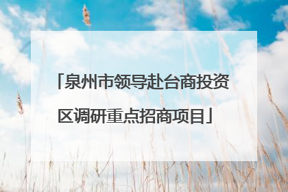 泉州市领导赴台商投资区调研重点招商项目