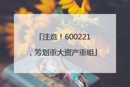 注意！600221，筹划重大资产重组