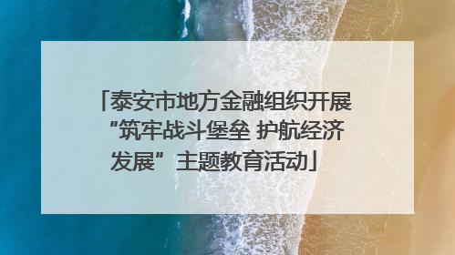 泰安市地方金融组织开展“筑牢战斗堡垒 护航经济发展”主题教育活动