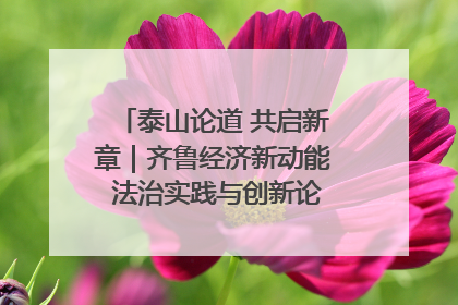 泰山论道 共启新章｜齐鲁经济新动能 法治实践与创新论坛成功举办