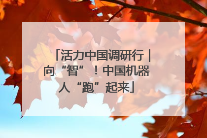 活力中国调研行｜向“智”！中国机器人“跑”起来
