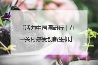 活力中国调研行｜在中关村感受创新生机
