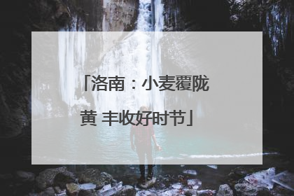 洛南：小麦覆陇黄 丰收好时节