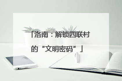 洛南：解锁四联村的“文明密码”