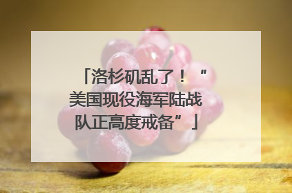 洛杉矶乱了！“美国现役海军陆战队正高度戒备”