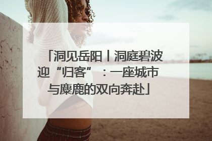 洞见岳阳丨洞庭碧波迎“归客”：一座城市与麋鹿的双向奔赴