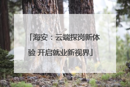 海安：云端探岗新体验 开启就业新视界
