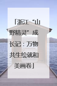 浙江“山野精灵”成长记：万物共生绘就和美画卷