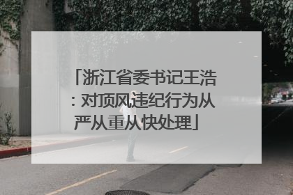 浙江省委书记王浩：对顶风违纪行为从严从重从快处理
