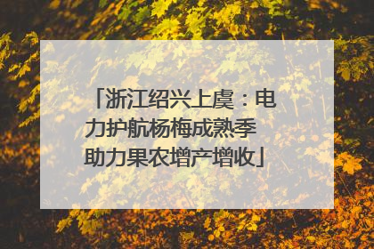 浙江绍兴上虞：电力护航杨梅成熟季 助力果农增产增收