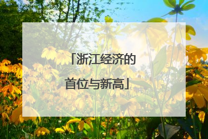 浙江经济的首位与新高