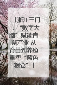 浙江三门：“数字大脑”赋能青蟹产业 从育苗到养殖重塑“蓝色粮仓”