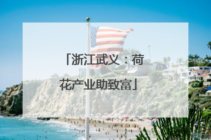 浙江武义：荷花产业助致富