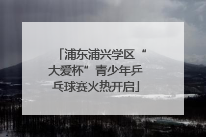浦东浦兴学区“大爱杯”青少年乒乓球赛火热开启