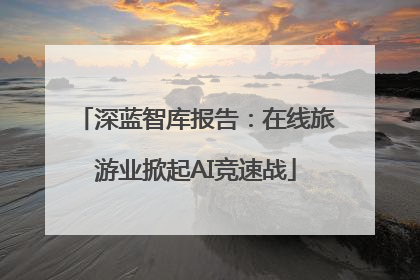深蓝智库报告：在线旅游业掀起AI竞速战