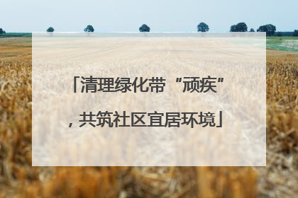 清理绿化带“顽疾”，共筑社区宜居环境
