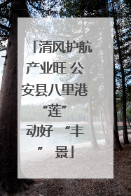 清风护航产业旺 公安县八里港 “莲” 动好 “丰” 景