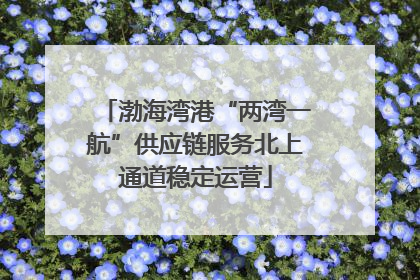 渤海湾港“两湾一航”供应链服务北上通道稳定运营