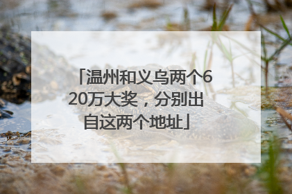 温州和义乌两个620万大奖，分别出自这两个地址