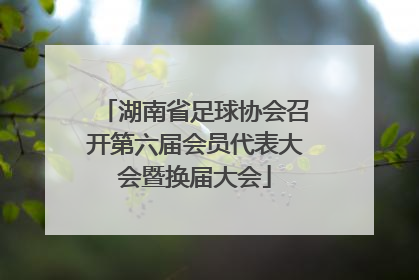湖南省足球协会召开第六届会员代表大会暨换届大会