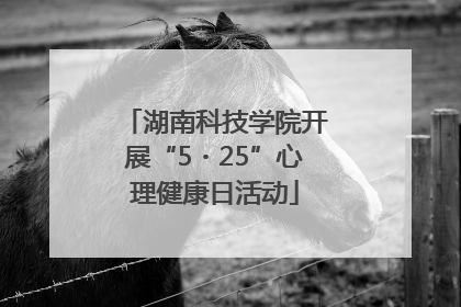 湖南科技学院开展“5・25”心理健康日活动