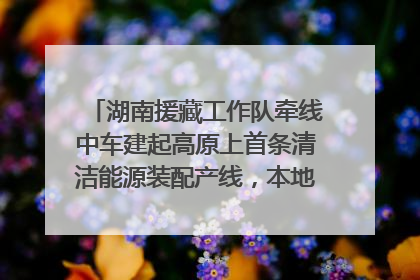 湖南援藏工作队牵线中车建起高原上首条清洁能源装配产线，本地大学生成车间检验员