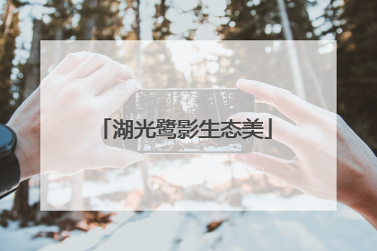 湖光鹭影生态美